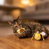 Jouets pour chats d'intérieur personnalisés avec logo en gros