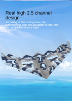 AiJH 2.4g EPP Fighter Avion Toys Télécommande de vol Ucak De Juguete Telecommand Jet Fly Plane Rc Airplane
