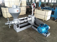 Zaad Soja Zonnebloem Kokos Olijf Palm Fruit Olie Persmachine