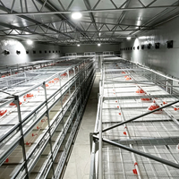 Vente Flash : Cages d'élevage automatiques pour poulets de chair, galvanisées à chaud