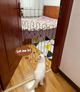 Recinto personalizzato per animali domestici, cancelletto/barriera di sicurezza in metallo per cani di piccola taglia, esclusivamente per il commercio elettronico transfrontaliero, per uso interno ed esterno. - Product Image 6