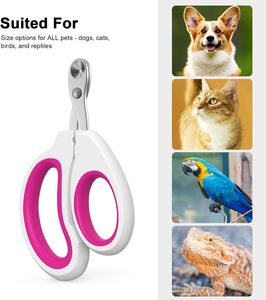 Professional Eco-Friendly Pet Grooming Nail Clippers Free Stainless Steel Nail File Custom Logo Option for Large/Medium/<b>Small</b> - Product Image 4