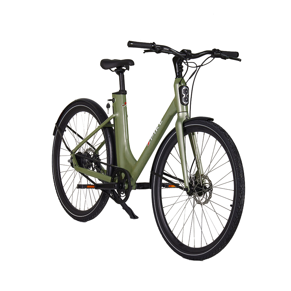 Raleigh Direct Factory Sale: High-Performance E-Bikes with Lithium Battery  for Smooth Travel and Efficient Cycling