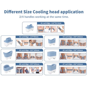 Máquina de Adelgazamiento Portátil S10 Cryocare con Dos Manijas - Product Image 6