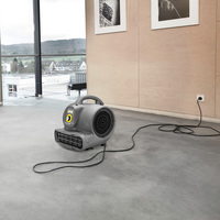 Séchoir à tapis AB 45 Classic Karcher, séchoir à tapis haute performance, compact, faible bruit, ventilateur d'air pour un séchage rapide