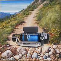 CE approuvé 4x4 Mini treuil électrique Portable 12000 Lbs ascenseur 12v DC moteur acier véhicule palan électrique câble métallique Auto 24v tension