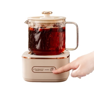 Bouilloire Électrique Multifonctionnelle en Verre pour Thé, Maintien au Chaud 24H, Arrêt Automatique, pour Maison et Bureau - Product Image 5
