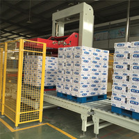 Palettiseur à portique basse Lilan, palettiseur automatique pour cartons/boîtes, palettisation à basse hauteur, palettiseur à portique basse personnalisé