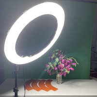 Lampe Annulaire LED Portable de 18 Pouces 30W pour Remplissage et Direct, Équipement Peau Magnifique pour Prise de Vue Vidéo et Selfie avec Télécommande