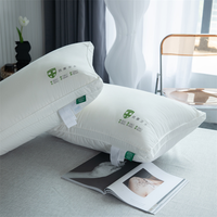 Oreiller d'hôtel pour la protection cervicale, aide au sommeil, antibactérien, anti-acariens, 200TC, noyau solide, pour la maison et les étudiants