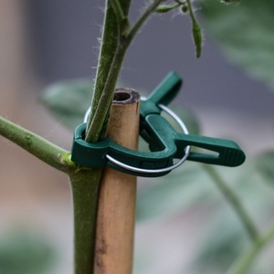 10 pinces de fixation réutilisables vertes pour plantes de jardin, légumes de serre, fleurs, tiges, vignes, supports de raisin, attaches rapides - Product Image 1