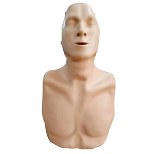 Model pelatihan CPR, tumbuhan resusitasi darah tinggi visualisasi aliran darah - Product Image 4