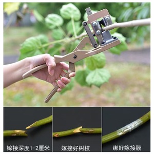 High Quality Thick <b>Branch</b> Grafting Shears Stainless Steel Blade Garden Tool For Fruit <b>Tree</b> Flower Grafting Zhejiang Origin - Product Image 5