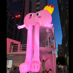 Tùy Chỉnh <span class=keywords><strong>Inflatable</strong></span> Logo Sáng Khí Mô Hình Phim Hoạt Hình Nhân Vật Hiển Thị Cho Trung Tâm Mua Sắm Hoạt Động Ngoài Trời Bóng Loại - Product Image 1