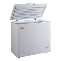 Article populaire BC/BD-158 Congélateur coffre électrique 150L, compartiments de rangement profonds à porte unique avec couvercles pour camping-car et usage extérieur, conception portable