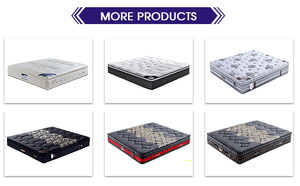 Châu Âu Thiết Kế Khách Sạn Funiture Nữ Hoàng Vua Kích Thước Duy Nhất Tùy Chỉnh Bọt Túi Cao Su Câm Dừa Mùa Xuân Nệm - Product Image 6