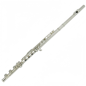 Flûte à <span class=keywords><strong>bec</strong></span> B de 17 trous, clé Do, à trous fermés, corps en cupronickel nickelé, tonalité Do, instrument à vent en cuivre blanc - Product Image 1