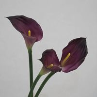 Bunga Calla Lily Buatan Berkualitas Tinggi YILUN Warna Putih Ungu, Sentuhan Alami untuk Dekorasi Pernikahan & Natal