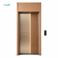 Mini-ascenseur domestique en acier inoxydable de 250 kg, certifié CE ISO, pour villa à 2 étages |   Ascenseur résidentiel au design moderne, vente directe d'usine