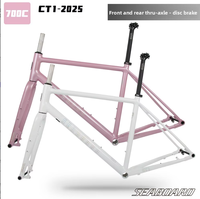Cadre de vélo de route en alliage d'aluminium Seaboard CT1 pour gravier, avec passage interne des câbles, compatible guidon plat, frein à disque 700C, fourche à axe traversant