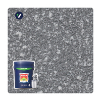 Peinture murale liquide effet pierre texturée à prix d'usine, aspect pierre premium en spray