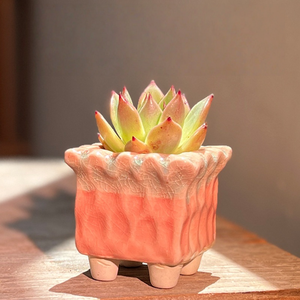 Maceta de Cerámica Ecológica con Degradado de Color Macaron, con Orificio de Drenaje, Decoración Creativa para Interiores - Product Image 2