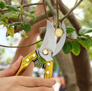 Portable Orchard Flower &amp; Branches <strong>Pruner</strong> Cheap Professional Stainless Steel Fruit Picking Scissors - Product Image 5