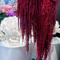 Bunga Kering Amaranthus Love Lies Bleeding Alami Langsung dari Pabrik, Tahan Luntur Warna, untuk Rangkaian Bunga dan Dekorasi Rumah Pernikahan