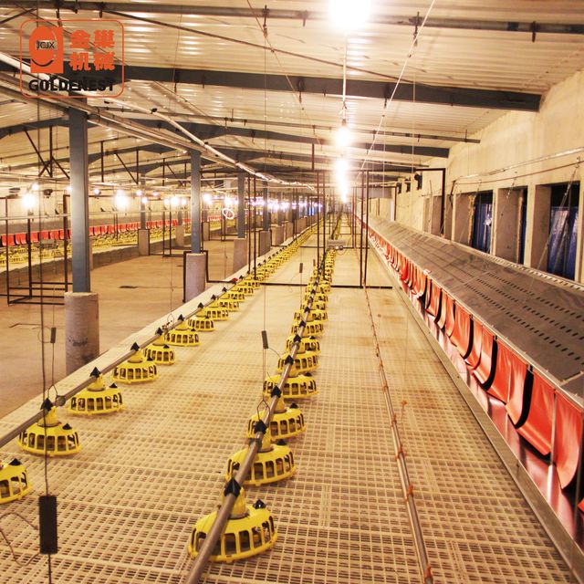 LED Poultry House Use Lighting Tube Lighting Bulb for Broiler Breeder Farm Laying Hens Parent Stock Farm