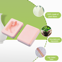 Plateau en pulpe de bagasse biodégradable sur mesure haut de gamme, emballage en pulpe de papier moulé écologique pour produits cosmétiques