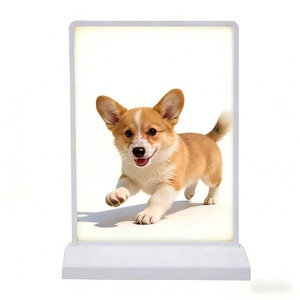 Rechargeable Hanging Waterproof Light Box, Slim Desktop Commercial Display Light Box - Product Image 1