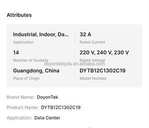 DoyonTek 12 prises IEC C13 2 prises IEC C19 PDU OEM en alliage d'aluminium, unités de distribution d'alimentation montées en rack pour les centres de données - Product Image 6
