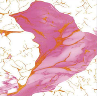 Autocollant en mousse IXPE 3D à motif marbré veiné or rose, revêtement mural imperméable, lavable, amovible, pour la rénovation et la décoration de la maison
