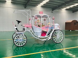 Carruaje Rosa para Maratón 2026, Carruaje de Boda Eléctrico Personalizado, Elegante Carruaje de Calabaza para Paseos Turísticos, Carruaje de Boda Estilo Cenicienta - Product Image 6