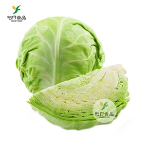 Bắp cải xanh tươi từ vụ mới năm 2016, đạt tiêu chuẩn xuất khẩu - Product Image 1