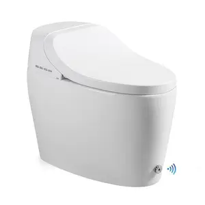 الجملة الصانع جهاز ذكي للتحكم عن بُعد المرحاض مقعد لوحة السيراميك سيفون المرحاض التلقائي التدفئة ذكي مقعد