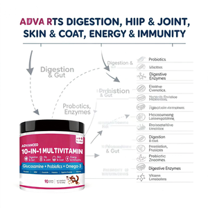 Suplemento Multivitamínico en Polvo 10 en 1 para Mascotas OEM, Apoya la Salud de las Articulaciones, la Piel, el Corazón y el Intestino con Glucosamina y Probióticos para Perros - Product Image 5