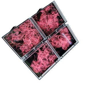 Venta al por mayor 7D coreano PBT base puntiaguda estrecha ventilador prefabricado extensiones de pestañas fábrica calor unido Vietnam hecho - Product Image 2