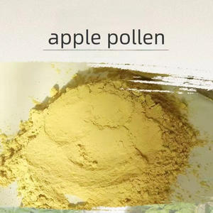 Vendita di Fabbrica Polvere di Pectina di Mela Naturale Biologica Estratto di Mela di Alta Qualità Miglior Prezzo Gratuito - Product Image 5