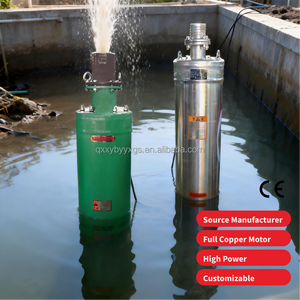 Dalgıç Yüksek Basınçlı OEM Servis AC Santrifüj Pompa Üreticileri Çamur Suyu Emme Su Pompaları Makinesi Satılık - Product Image 1