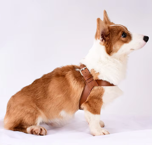 Kedatangan Stok Baru  Tersedia <span class=keywords><strong>Harness</strong></span> Dada Anjing Kulit PU Tahan Air Set Tali Kekang untuk Anjing Kecil dan Sedang <span class=keywords><strong>Harness</strong></span> Anjing - Product Image 4