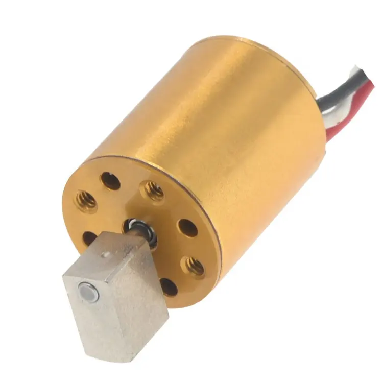 High quality bldc vibration motor micro 5v vibrating motor for beauty apparatus