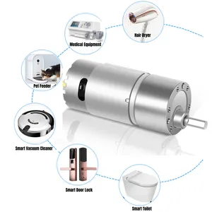 Shunli 37mm bürstenloser Getriebe motor Elektrisches Flugzeug 24V Gleichstrom motor für medizinische Einrichtungen