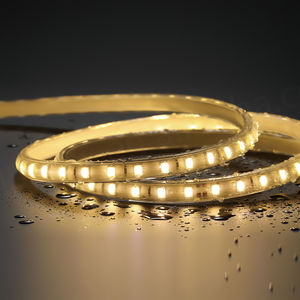 Tira de Luz LED Flexible SMD2835 IP20 IP65 de 5m 10m, Regulable, Blanco Cálido/Frío 3000k 6000k, 8mm, 12v - Product Image 3