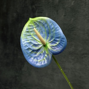 Prosperous <b>Flowers</b> Simulated Anthurium <b>Single</b> Branch Soft Plastic Wedding Home Decor Photography Props - Product Image 3