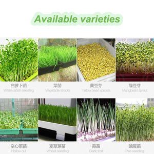 AM QDMECH Oferta <span class=keywords><strong>de</strong></span> fábrica Máquina <span class=keywords><strong>de</strong></span> cámara <span class=keywords><strong>de</strong></span> germinación <span class=keywords><strong>de</strong></span> brotes Cámara <span class=keywords><strong>de</strong></span> brotación <span class=keywords><strong>de</strong></span> bajo costo Gabinete industrial Sistemas hidropónicos - Product Image 4