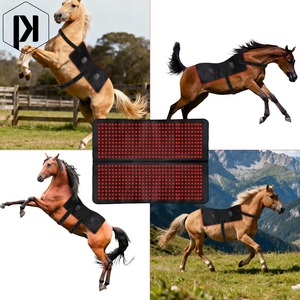 Yuan Chun Red <b>Light</b> Therapy Device 1110*980 For Horses Muscle Relaxation Healing - Product Image 2