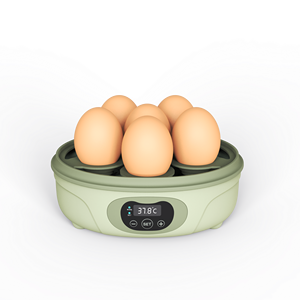 Attrezzatura Didattica: Mini Incubatrice per 6 Uova in Vendita - Product Image 4