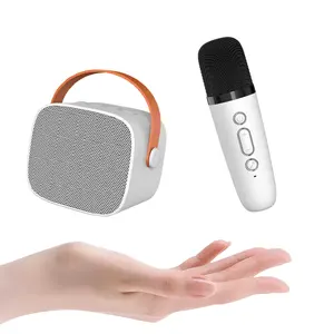 Cute Design Small Full Range Voice Change Music Player Party Box Wireless Portable BT Speaker wireless microphone for karaoke