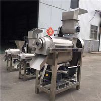 Commerciële Fruitpulper Kleine Kokosmelk Juicer Machine Biet Apple Caraud Sap Maken Persmachine